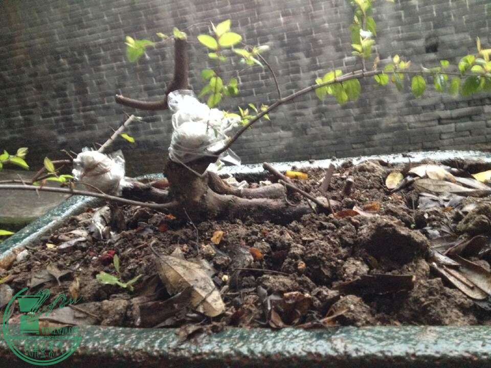 QQͼƬ20150304185941.jpg