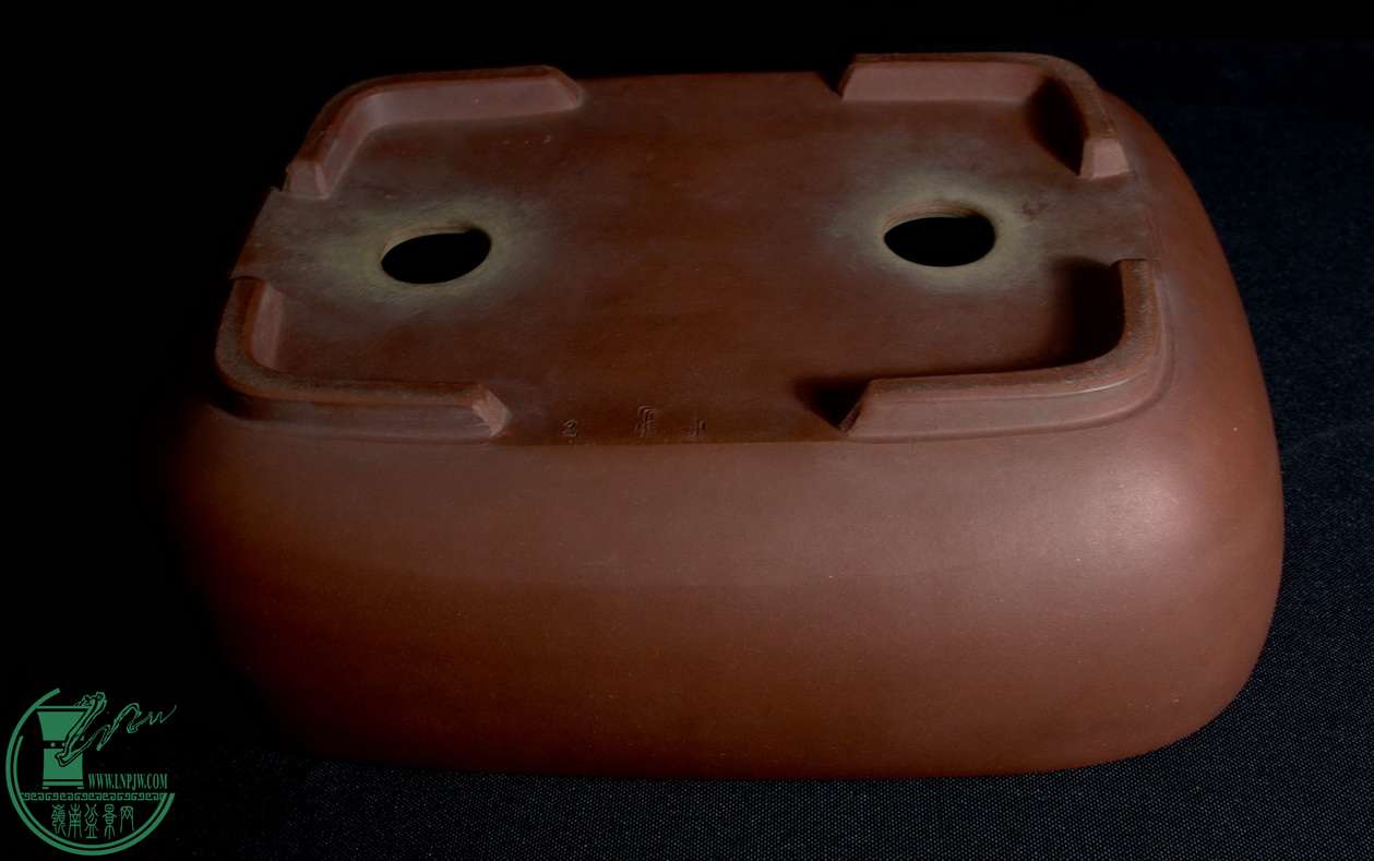 IMGP6066.jpg