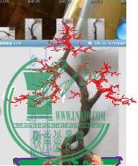QQͼƬ20150305010026.jpg