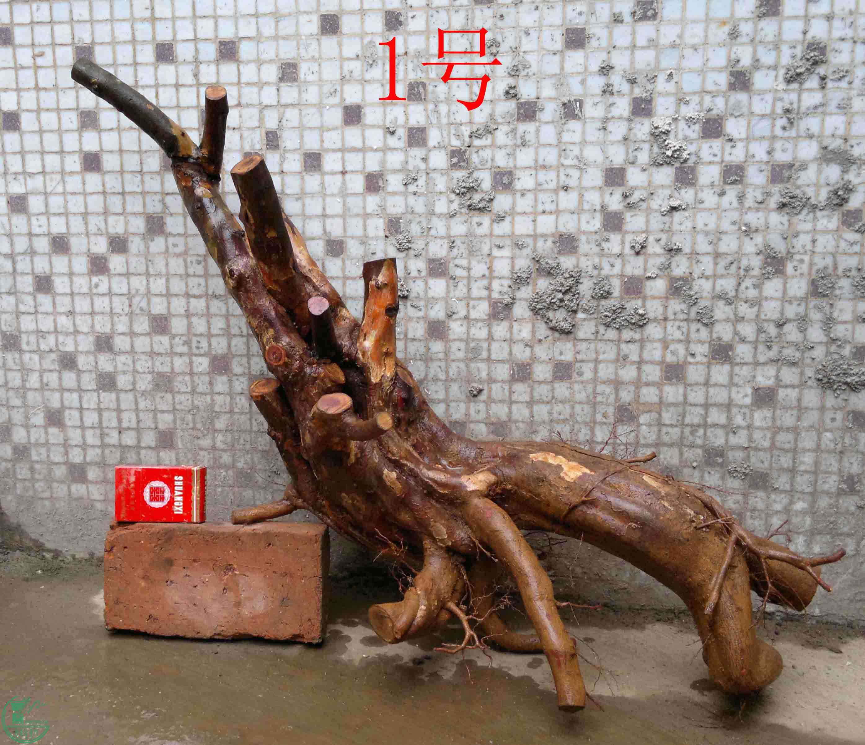 201102052660.jpg