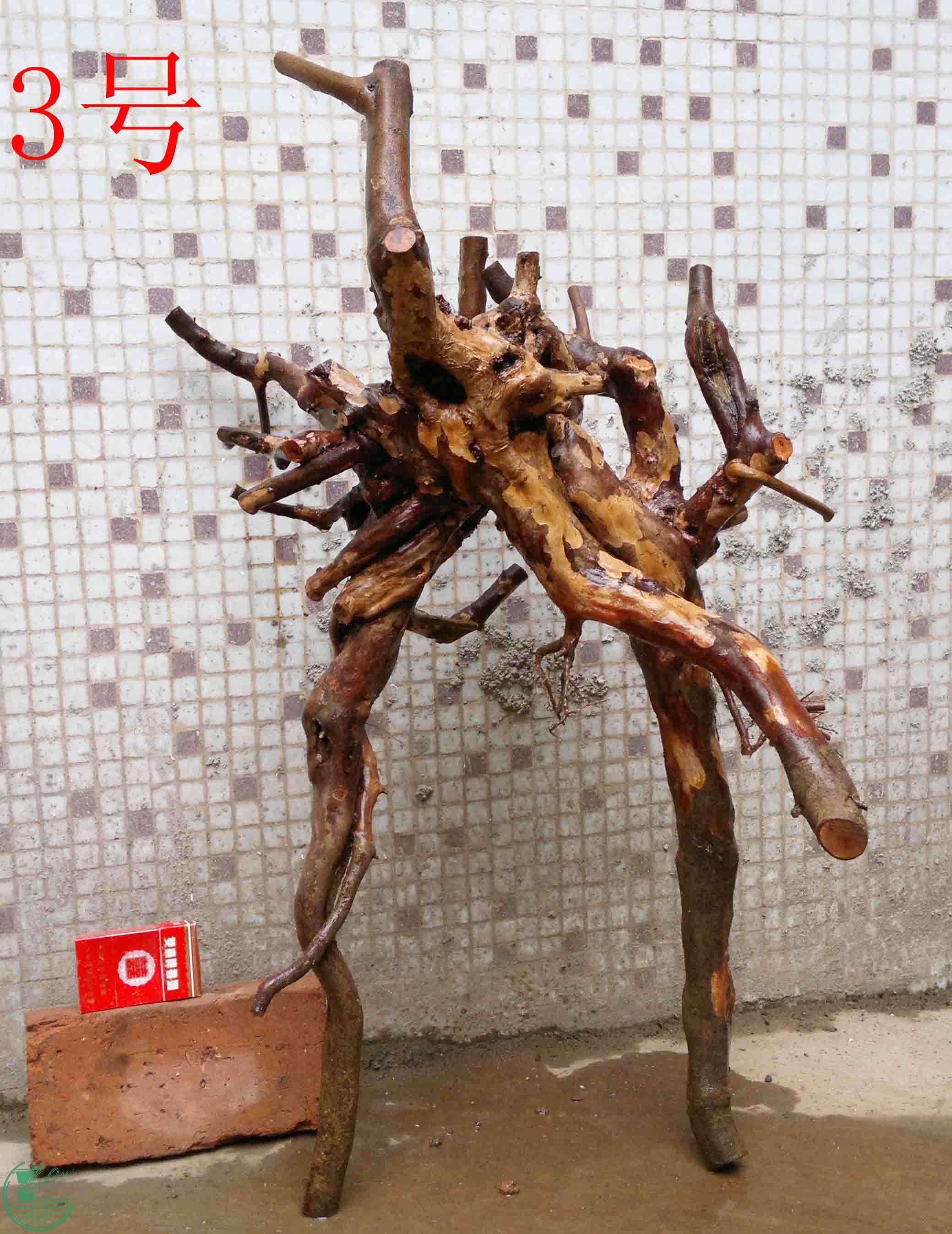 201102052690.jpg