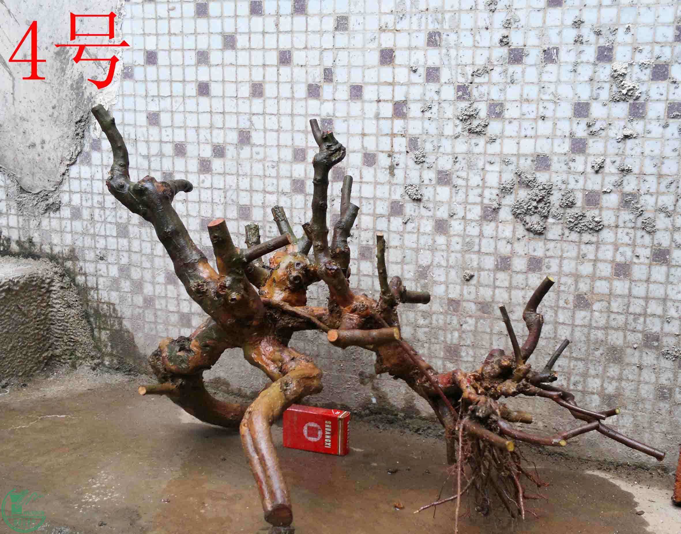 201102052711.jpg