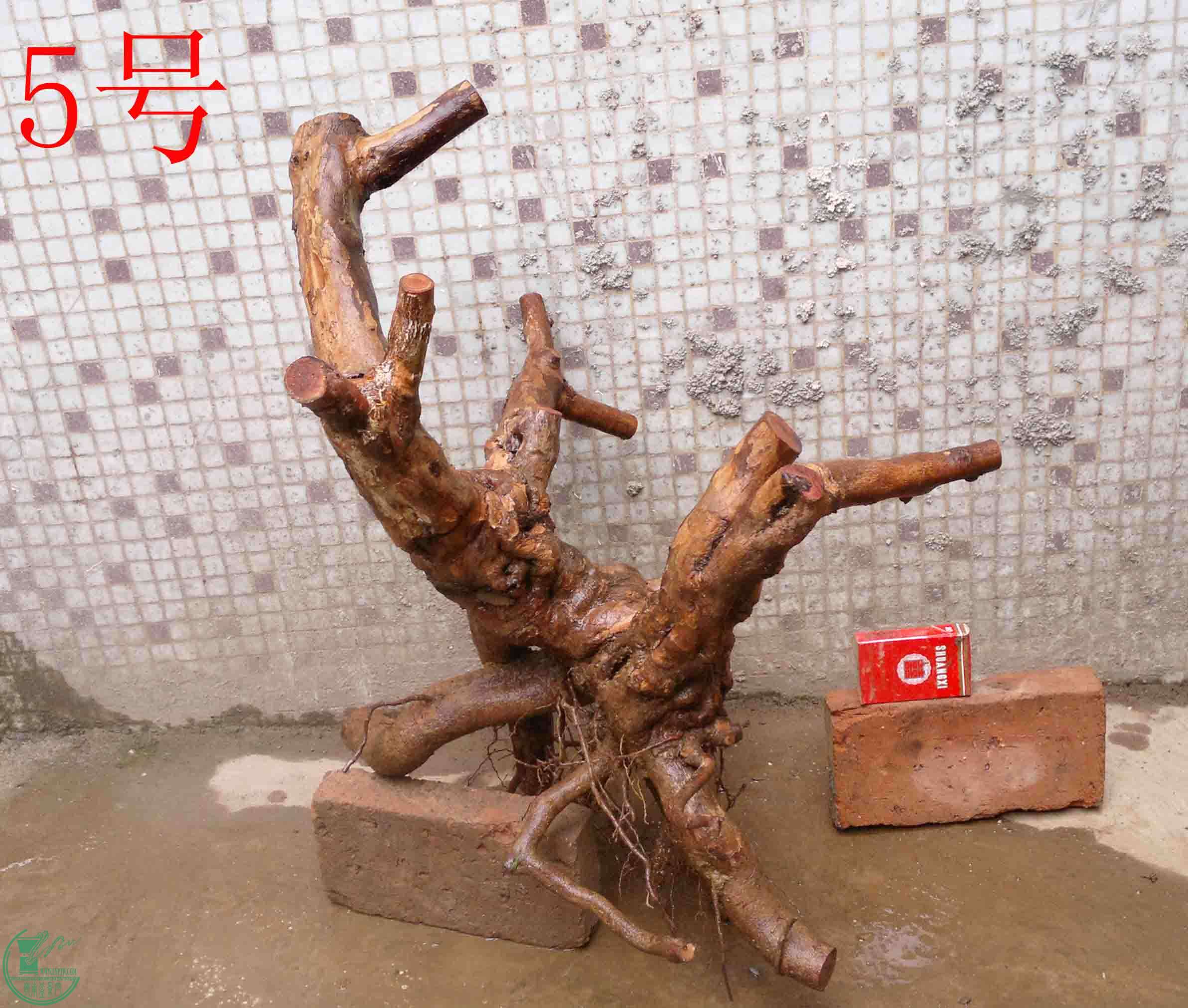 201102052722.jpg