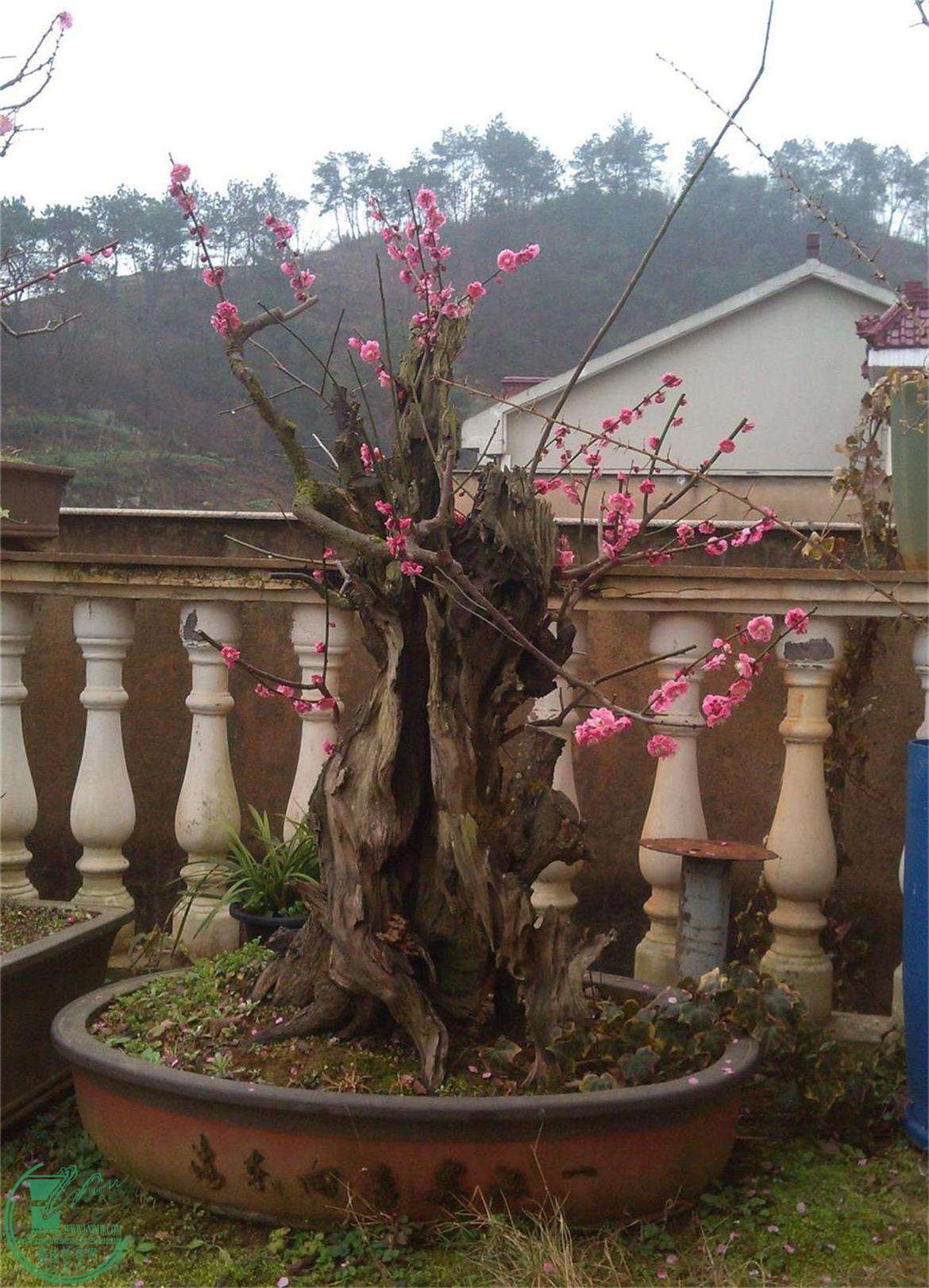 ÷׮54IMG_20150222_092111_ͼ_2345ͼ.jpg