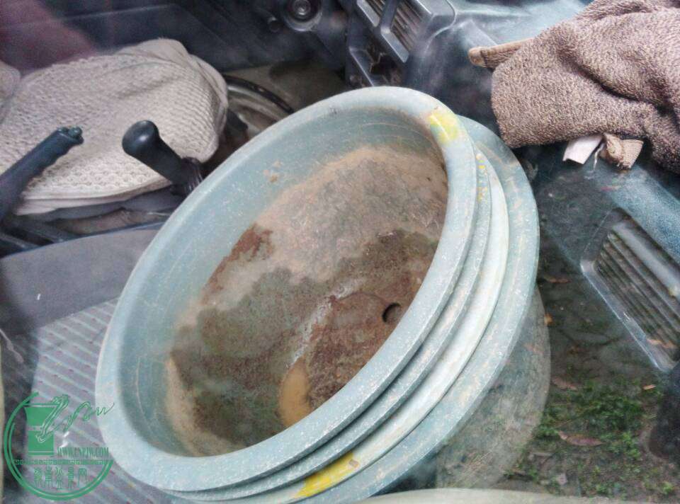 -2da86cef0cf68afa.jpg