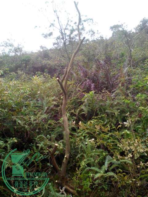IMG20150306155846.jpg