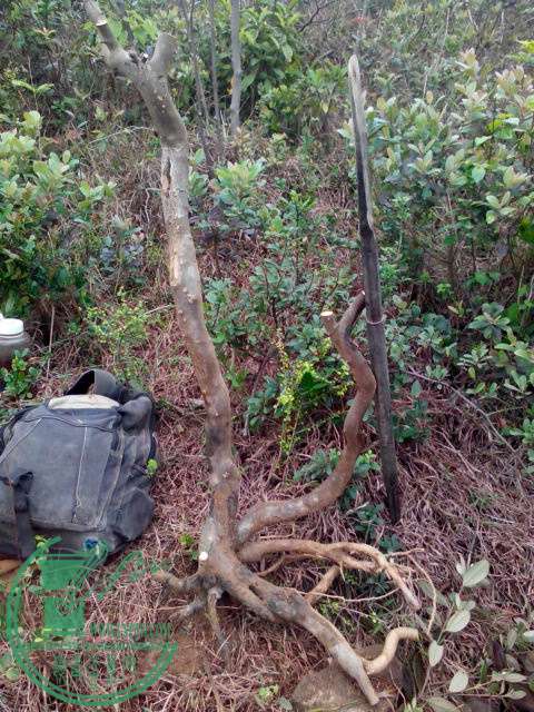 IMG20150306144109.jpg