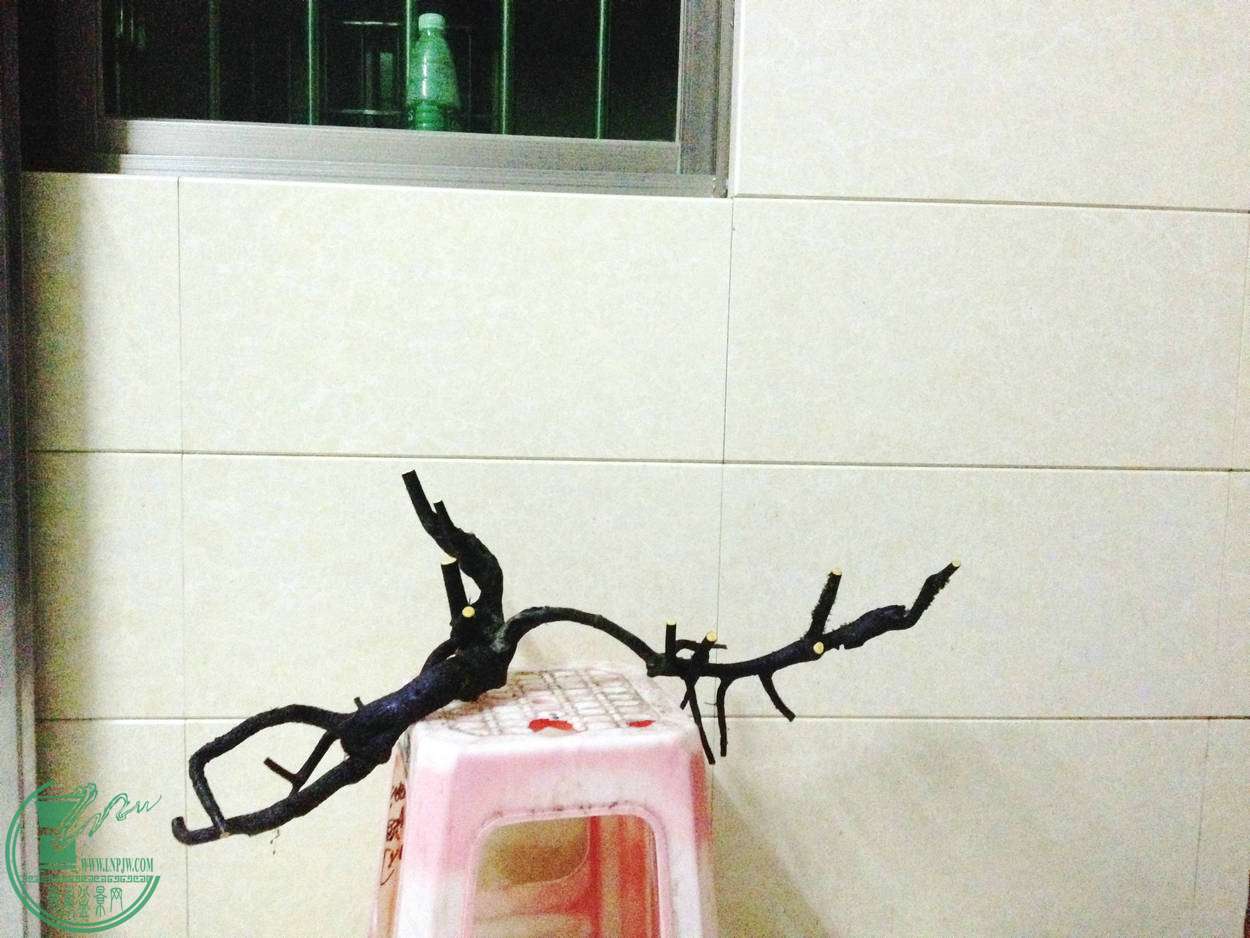 002.JPG