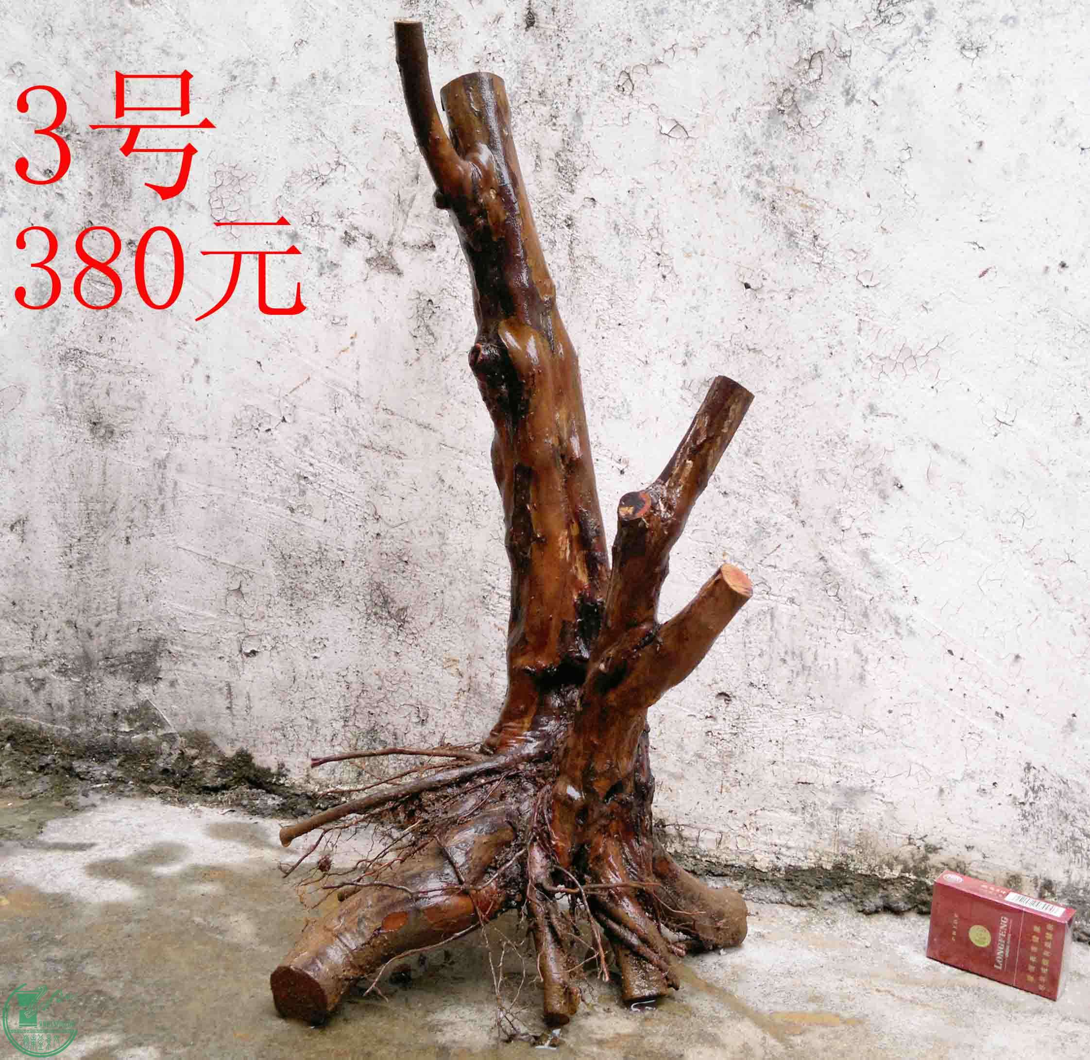201102092940.jpg