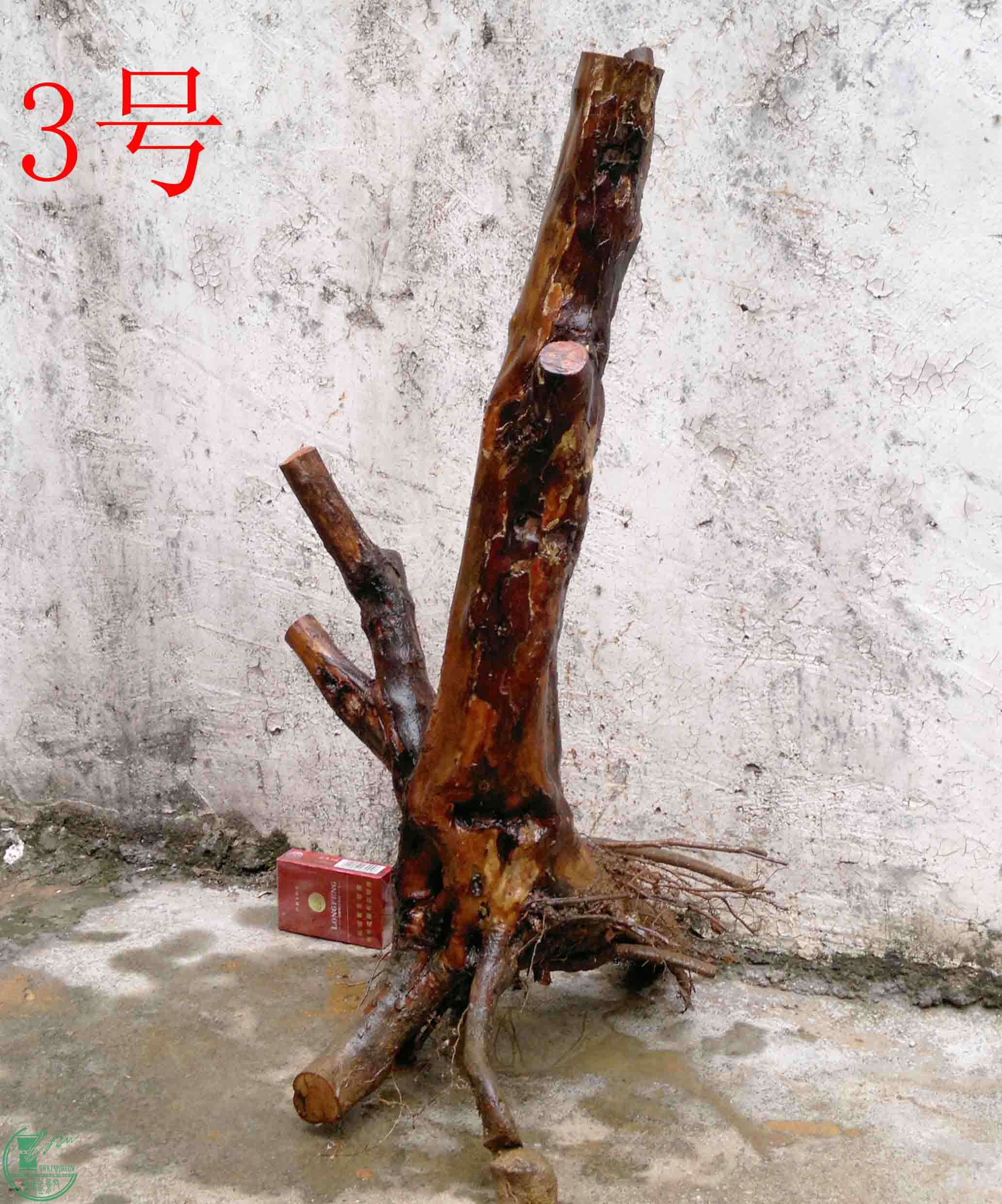 201102092945.jpg