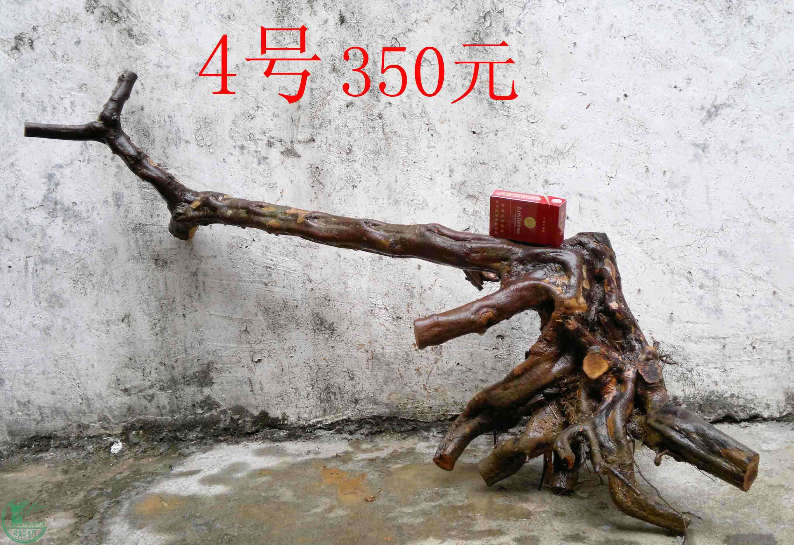 201102092950.jpg
