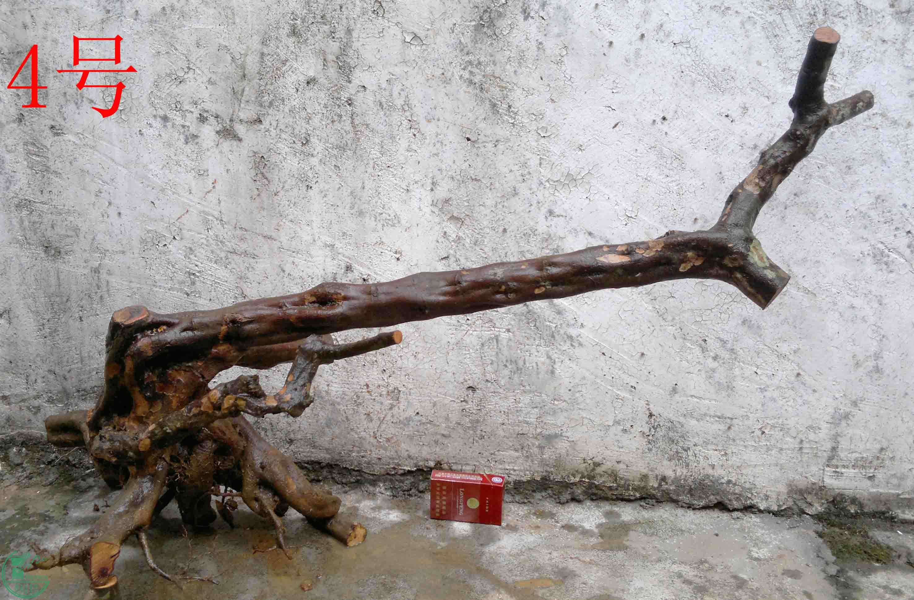 201102092955.jpg