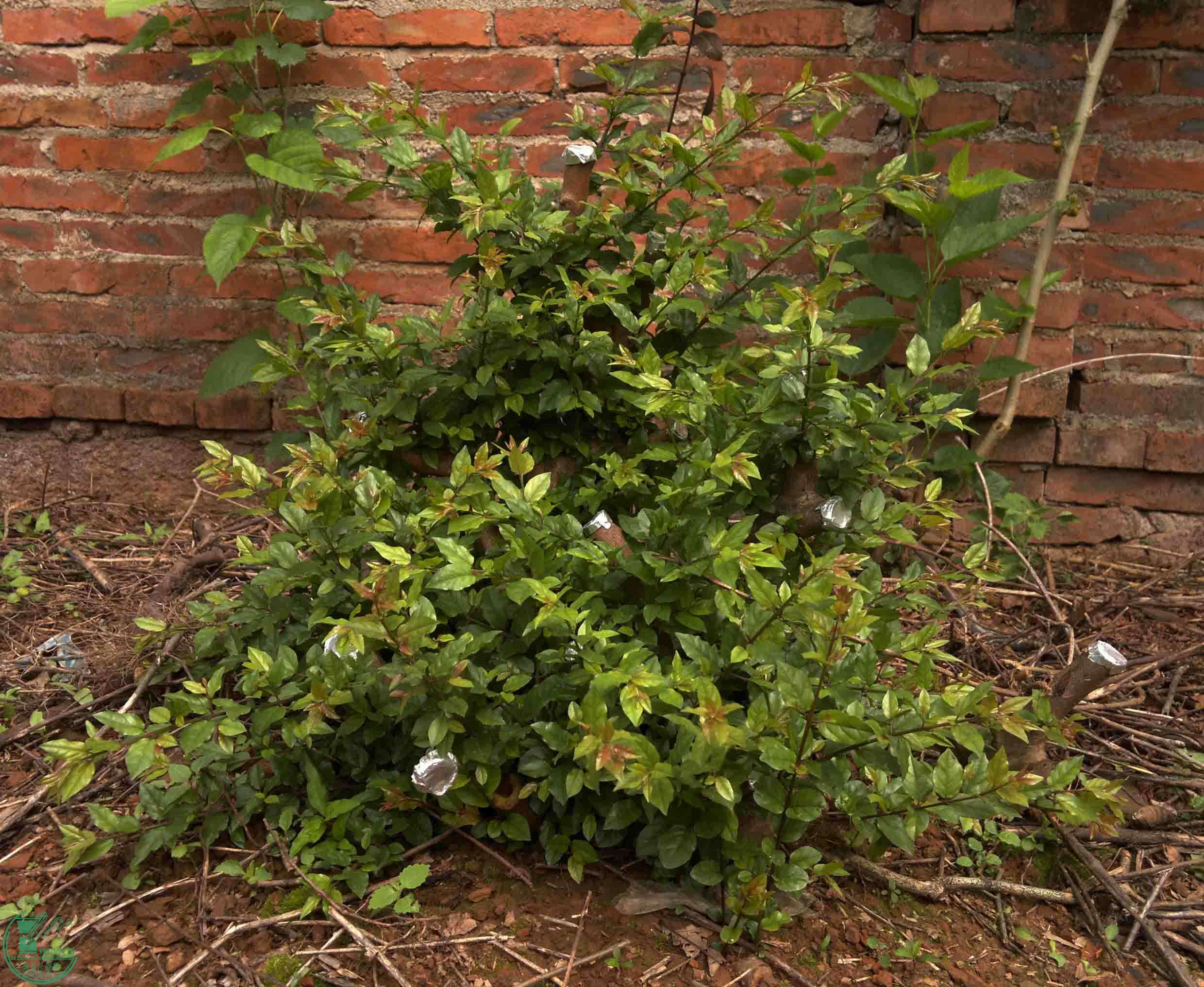 201102092958.jpg
