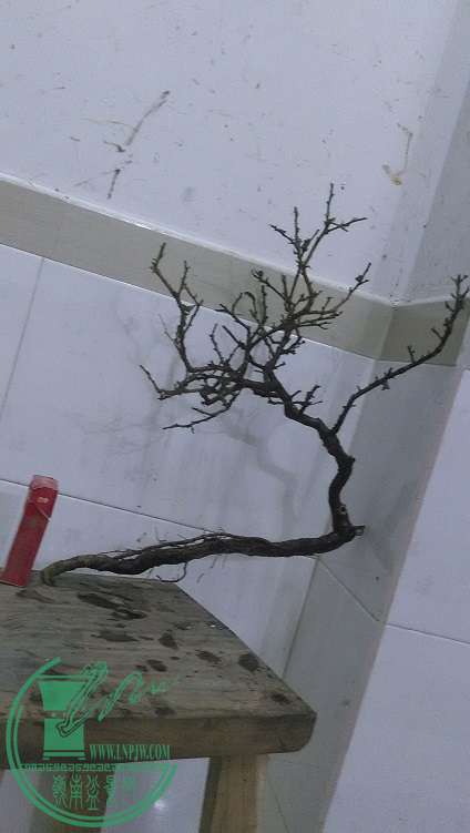 QQͼƬ20150309193720.jpg