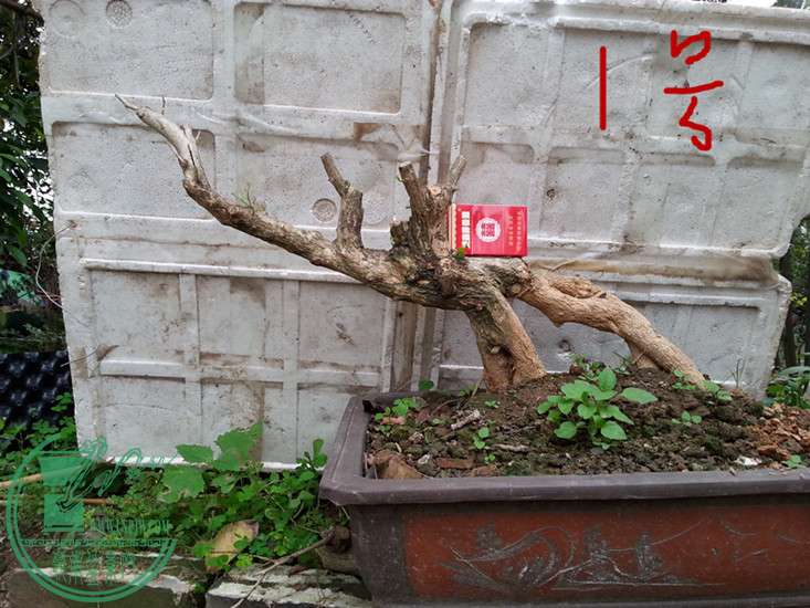 20150309_173241.jpg