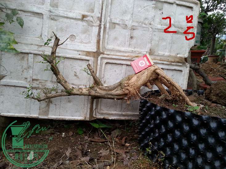 20150309_173431.jpg