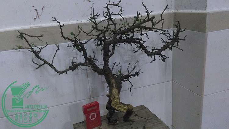 QQͼƬ20150309193957.jpg