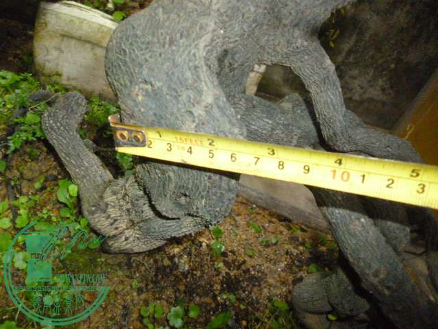 P1130120.JPG