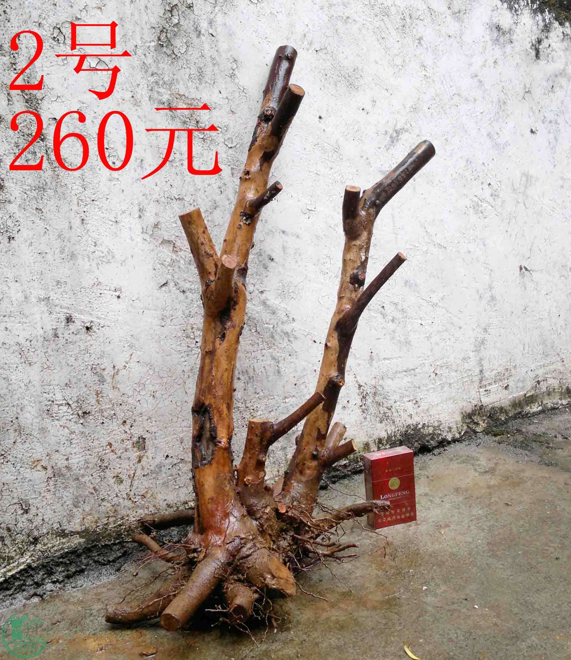 201102113094.jpg
