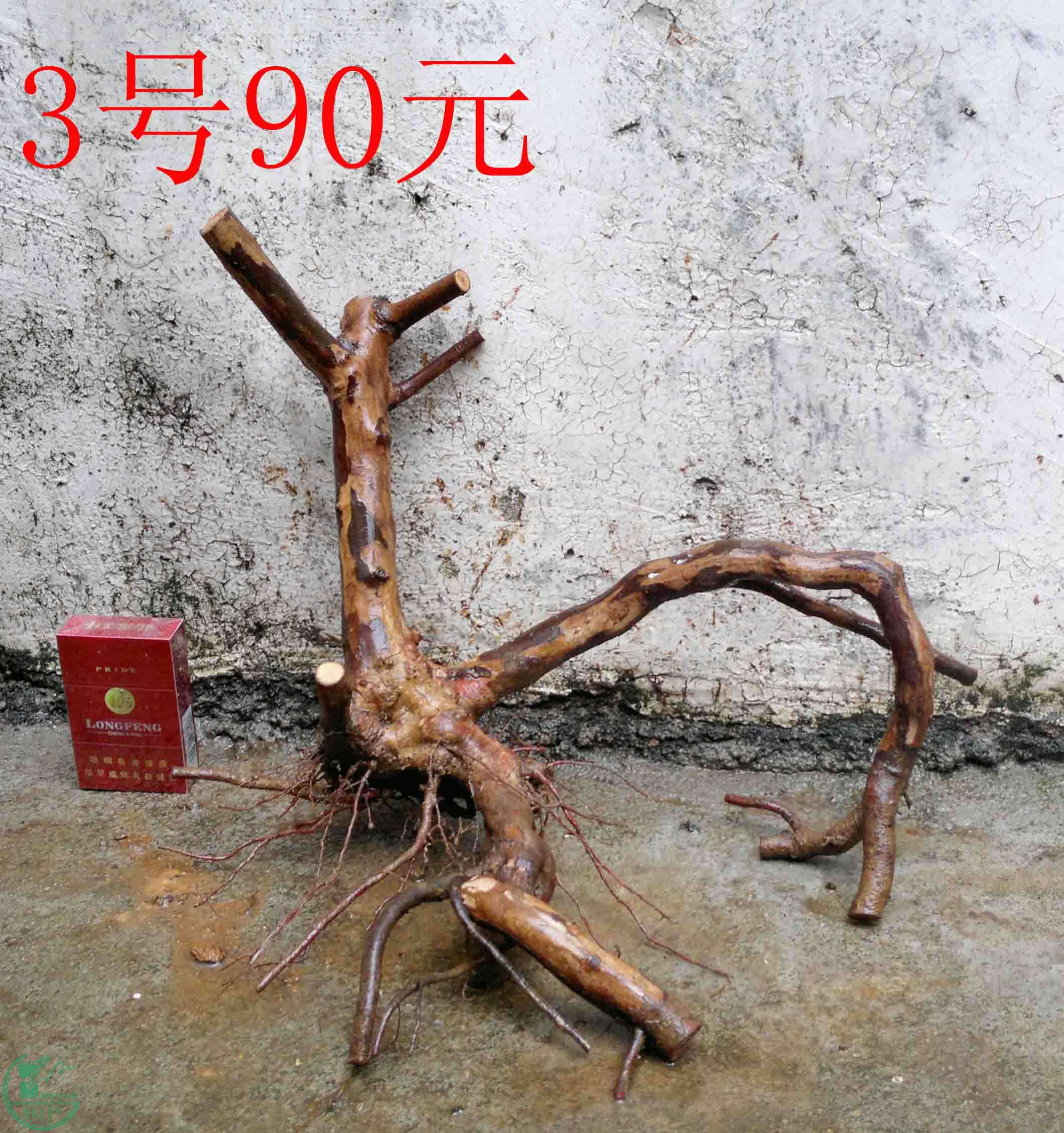 201102113099.jpg