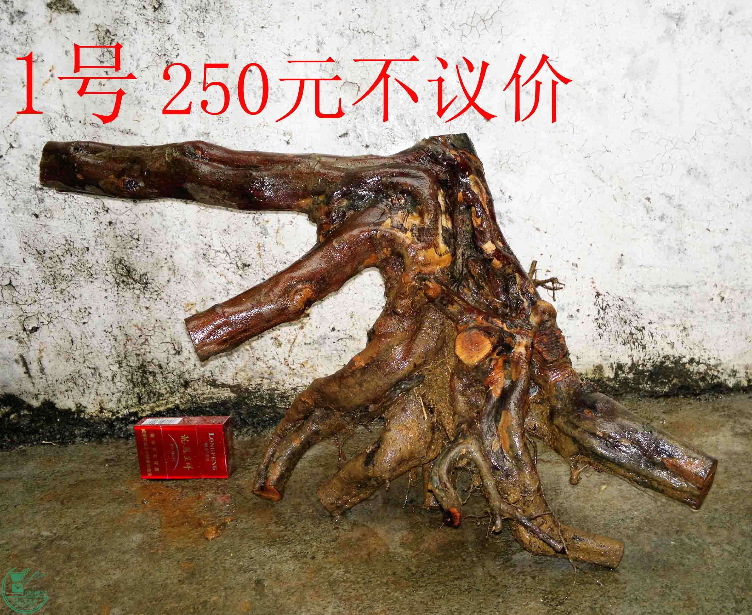 201102112969.jpg