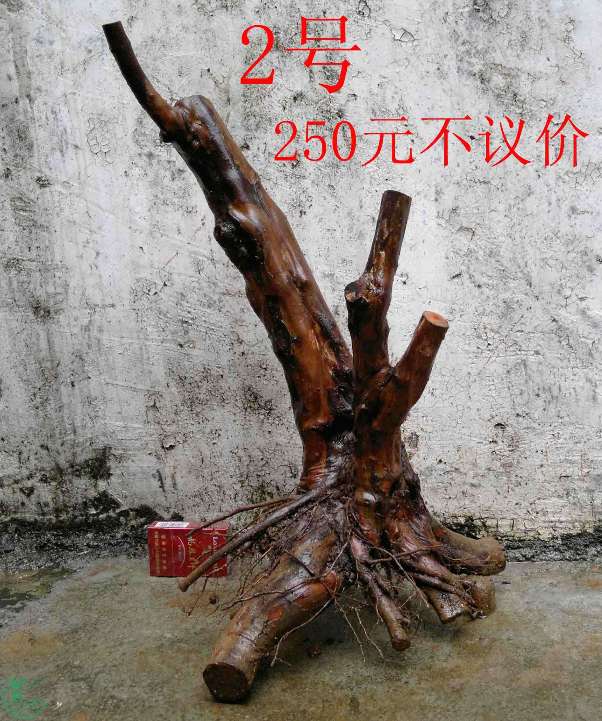 201102112975.jpg