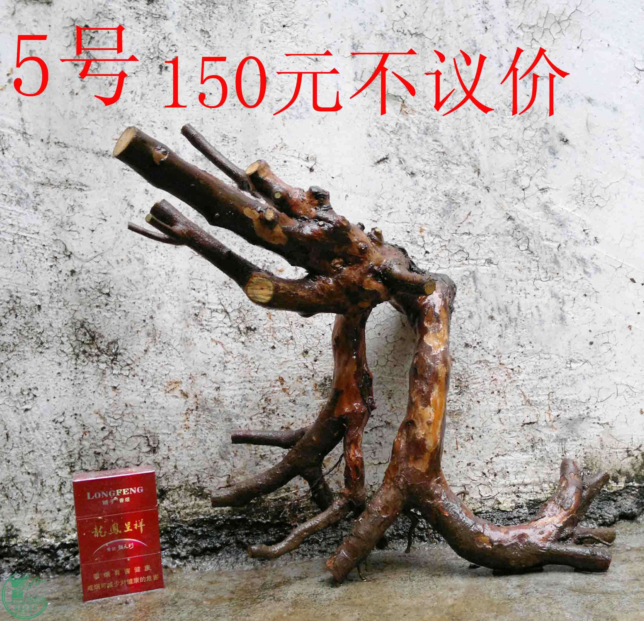 201102113002.jpg