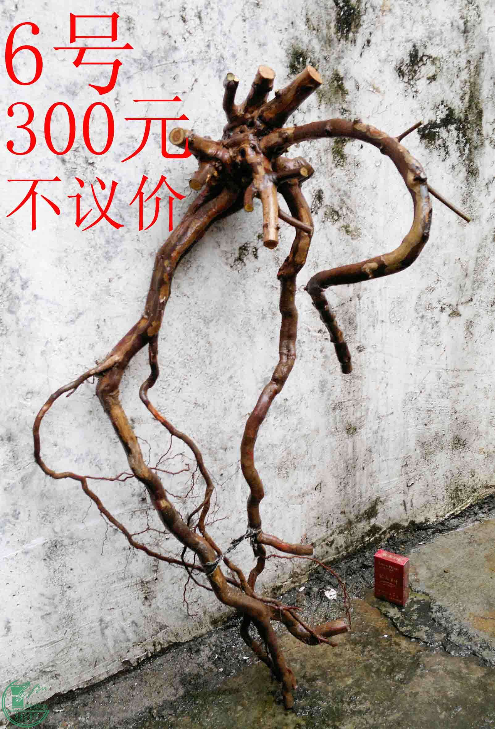 201102113011.jpg