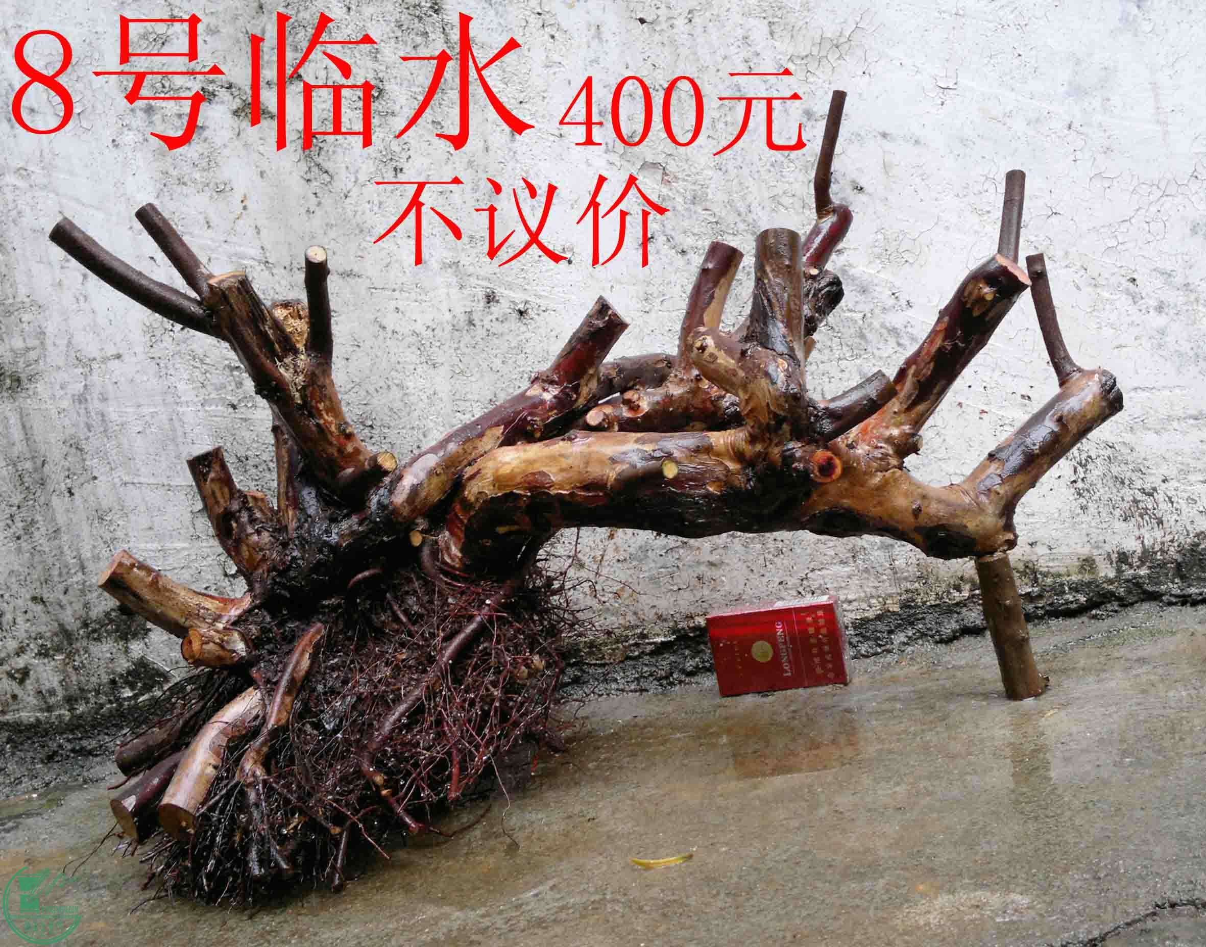 201102113055.jpg