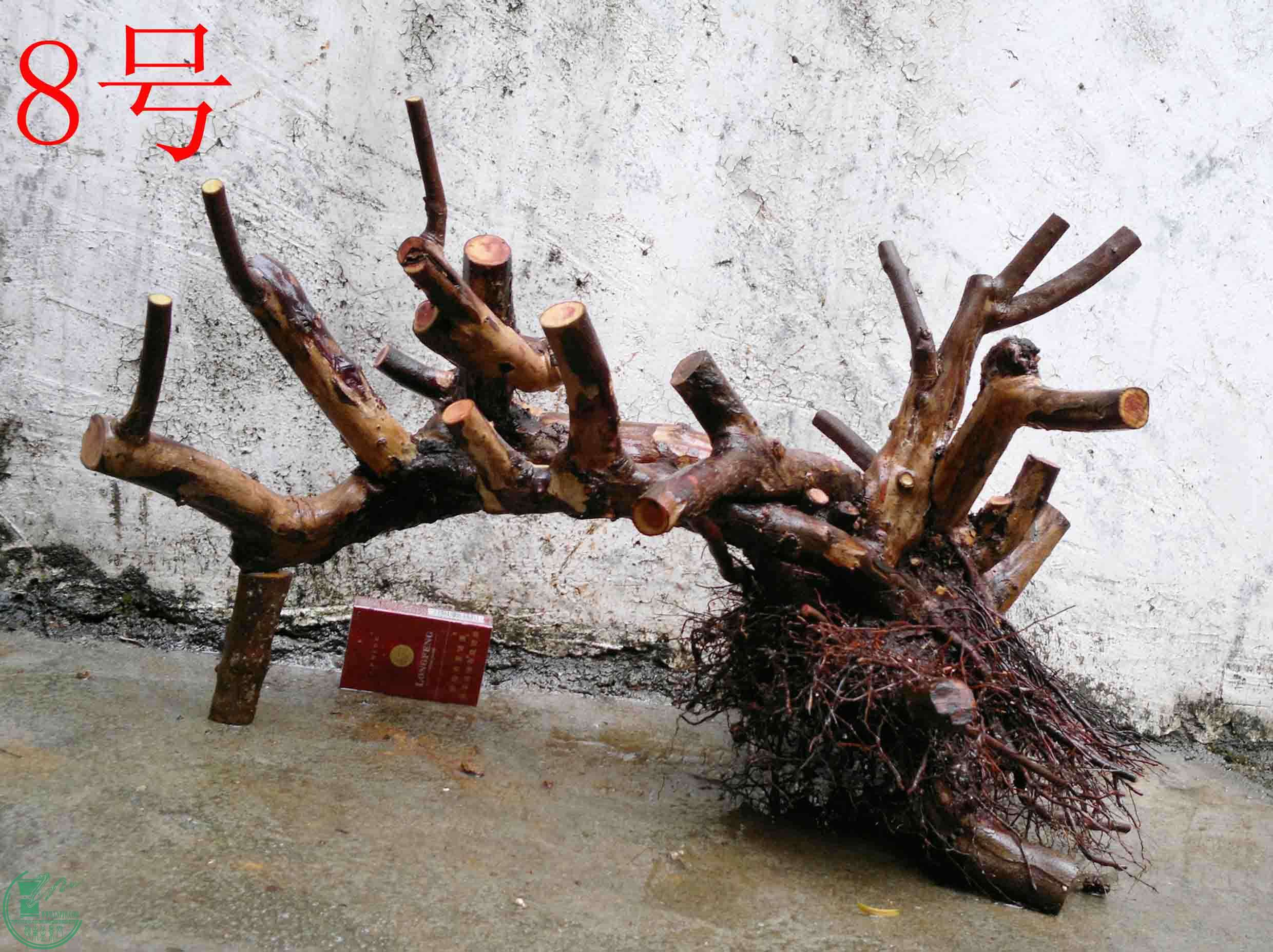 201102113060.jpg