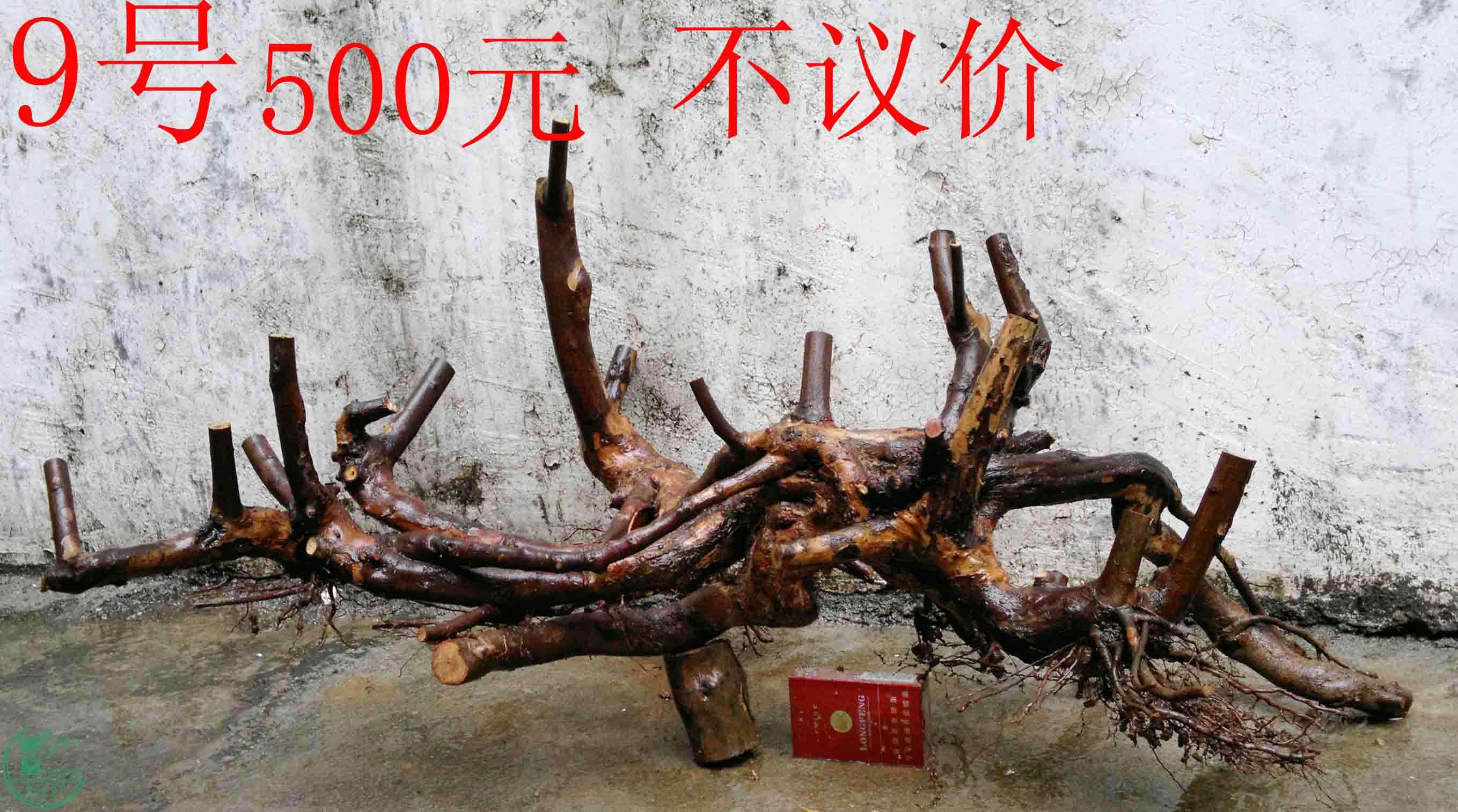 201102113075.jpg