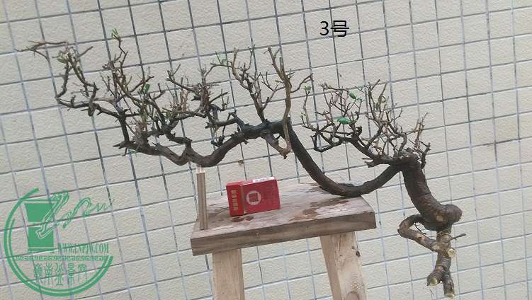 QQͼƬ20150310192134.jpg