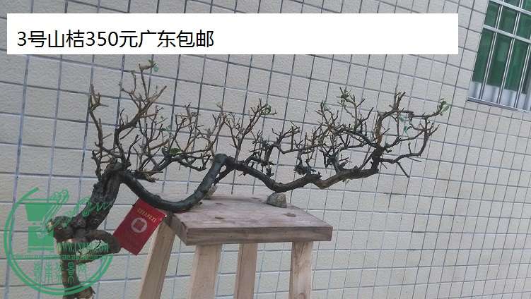 QQͼƬ20150310192139.jpg