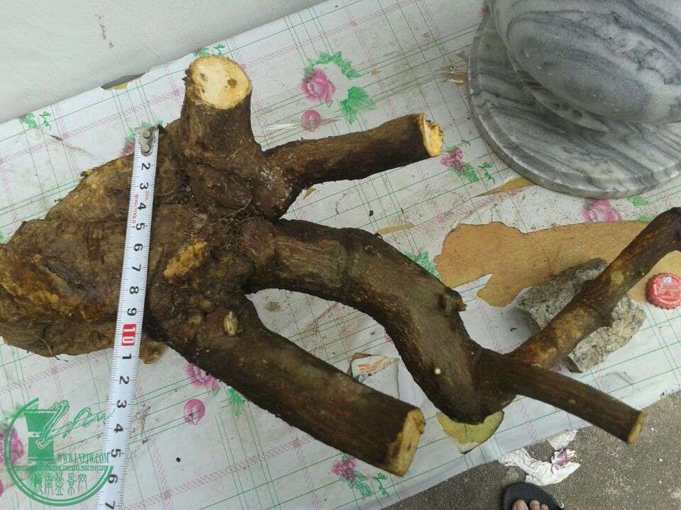 QQͼƬ20150310141424.jpg