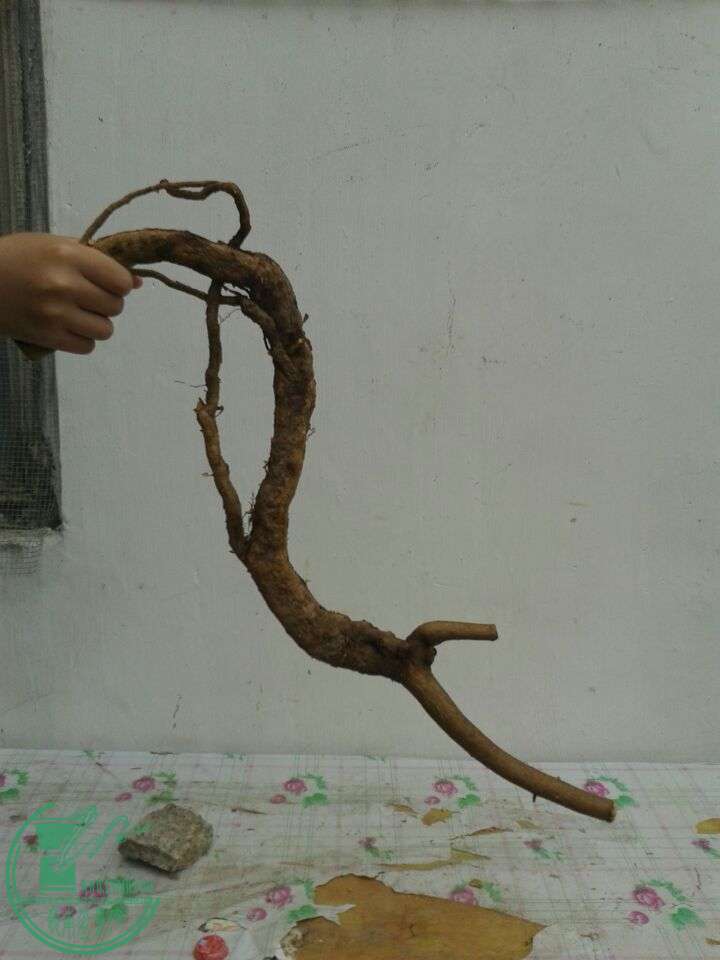 QQͼƬ20150310141559.jpg