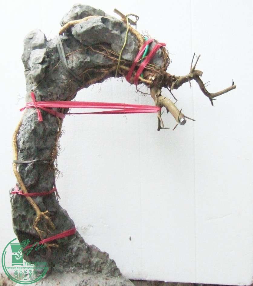 DSCF5982.JPG