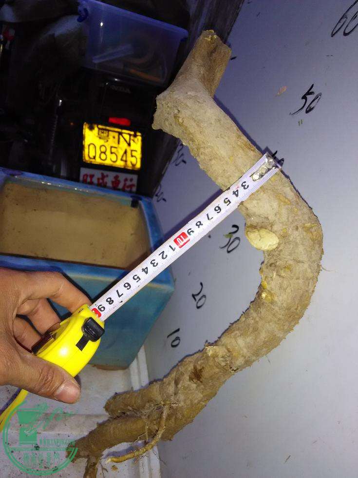 һ.jpg