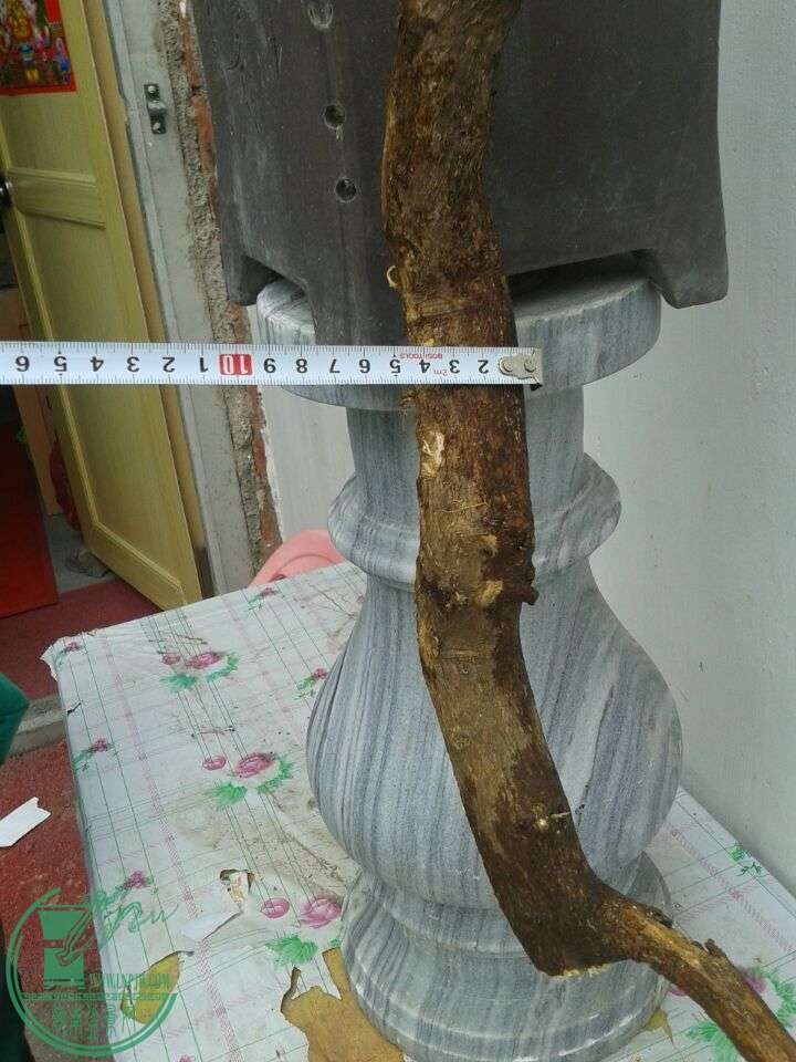 QQͼƬ20150310141408.jpg
