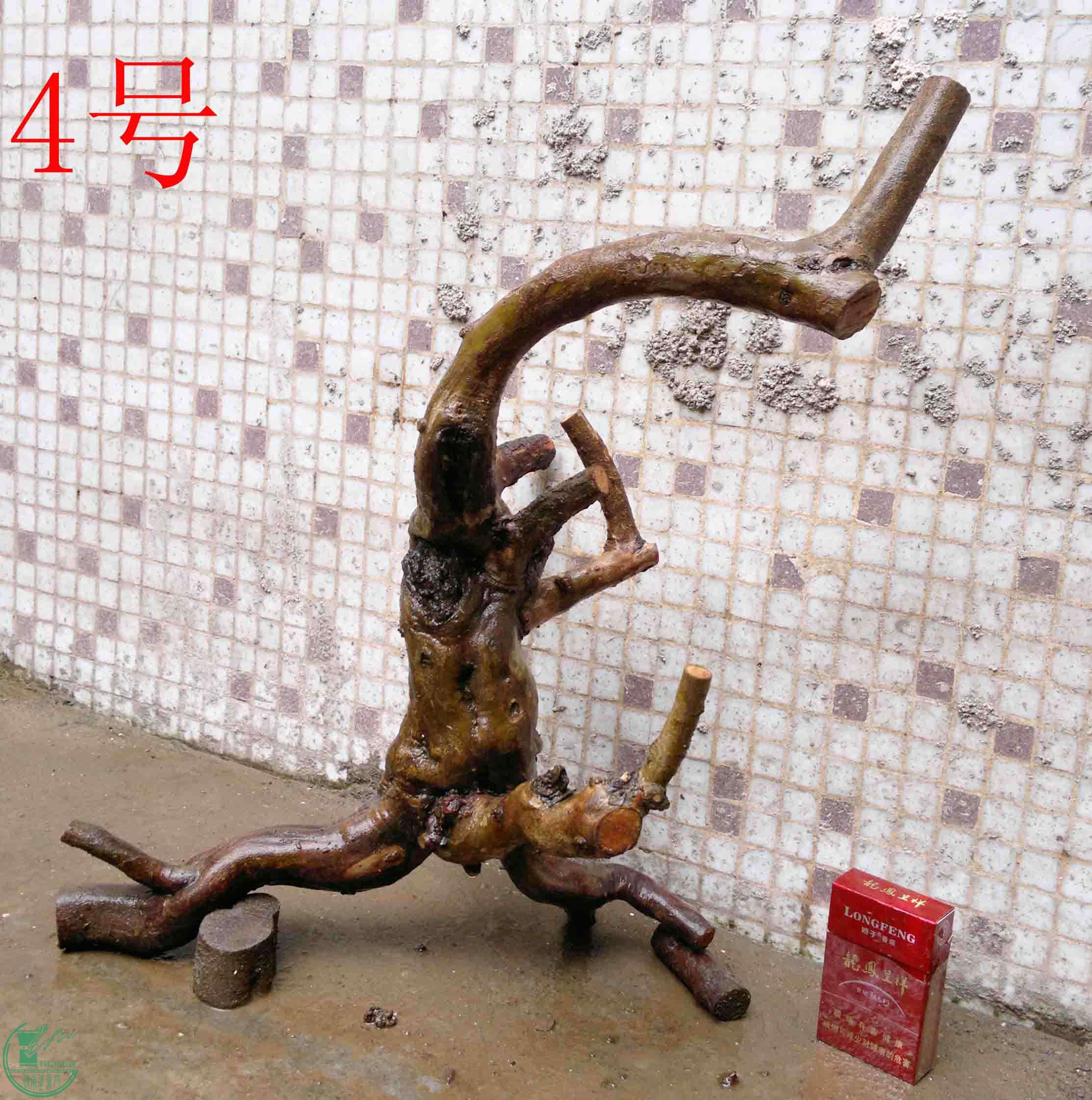 201102133171.jpg