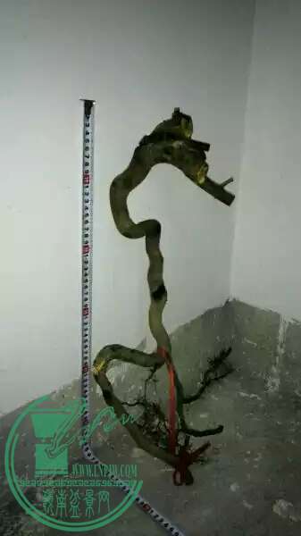 D4C8E5B8ED7D745E56A6ECEAA30FC2F6.jpg