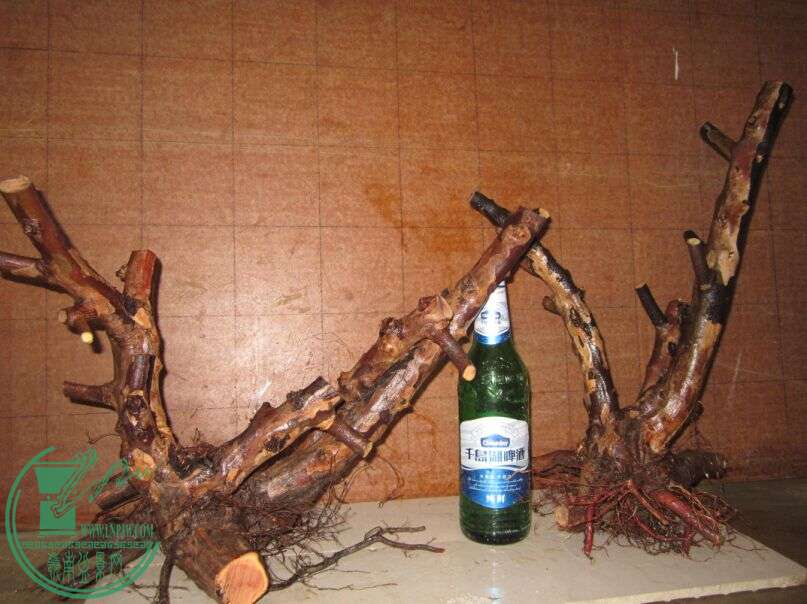 ̨ȸ.jpg