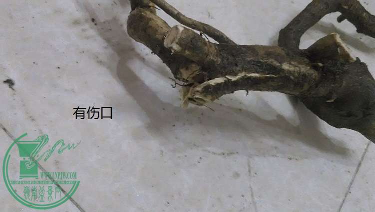 QQͼƬ20150315193047.jpg