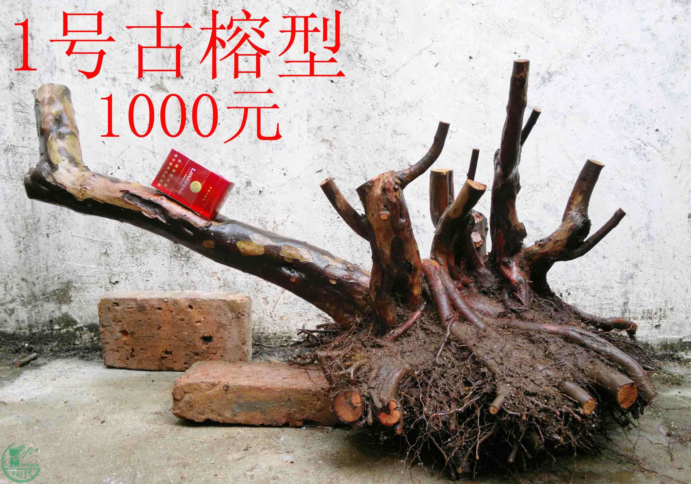 201102173262.jpg