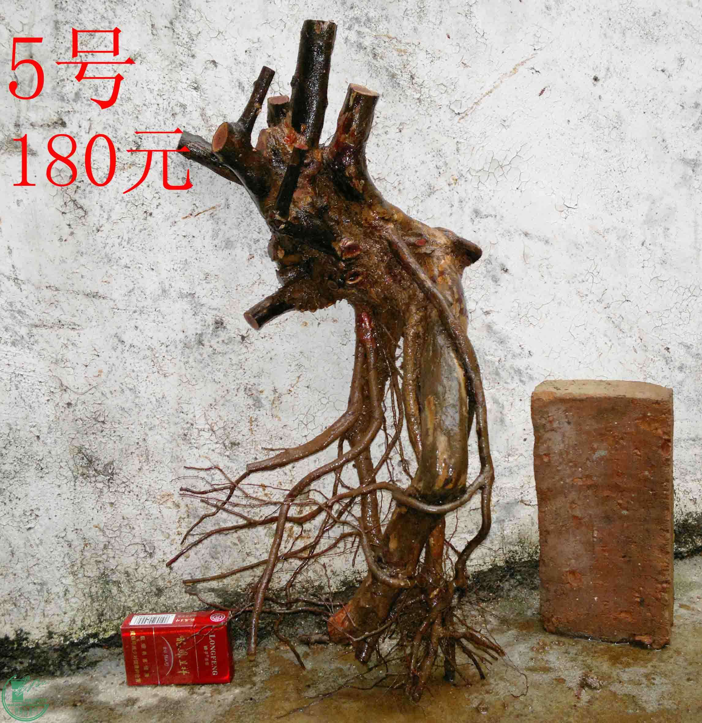 201102173325.jpg