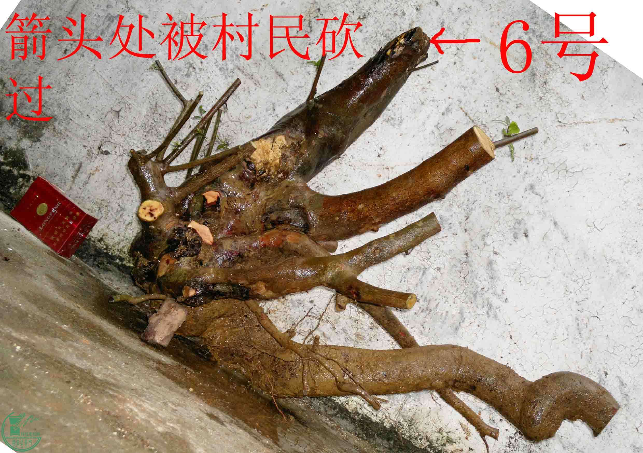 201102173342.jpg