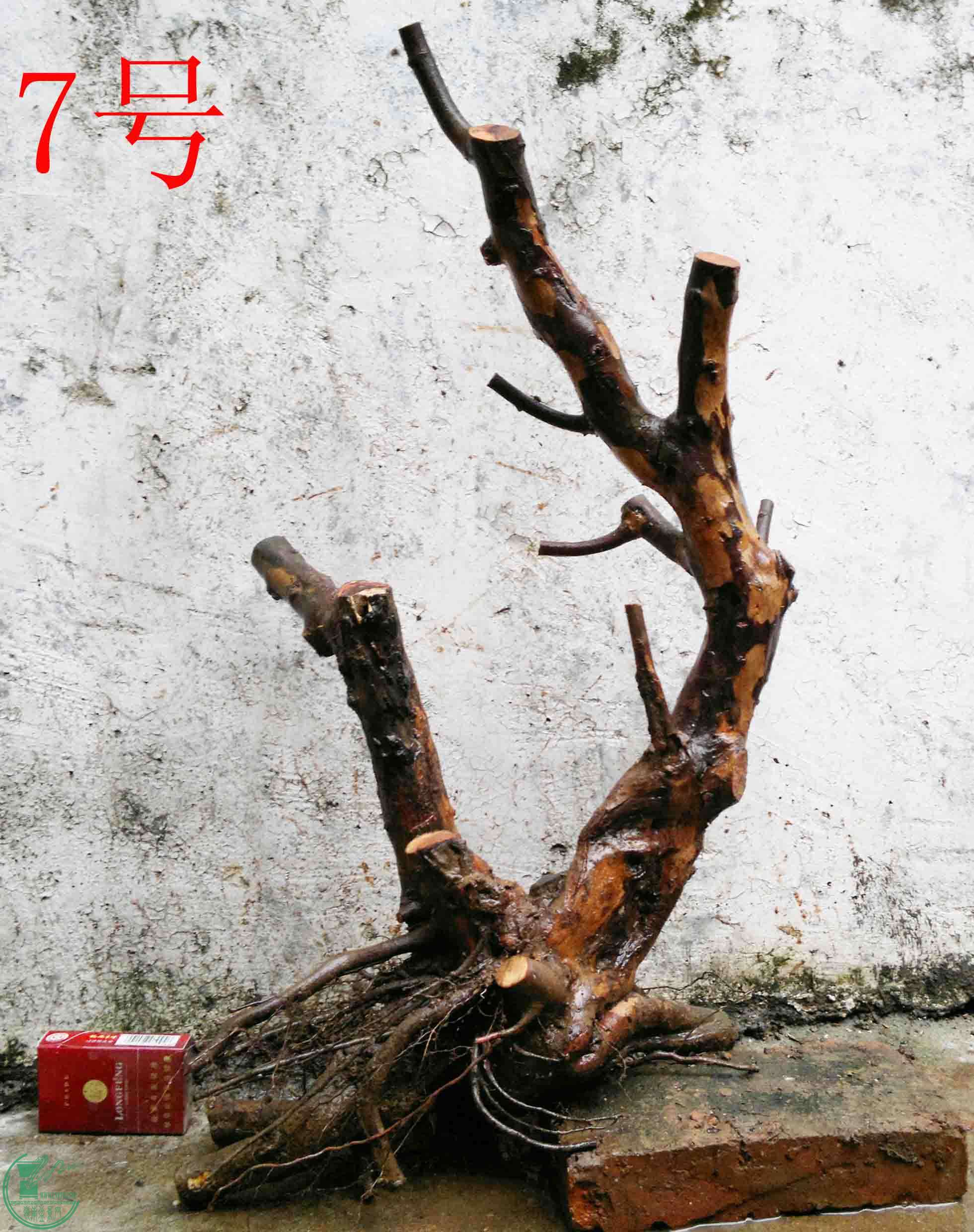 201102173354.jpg