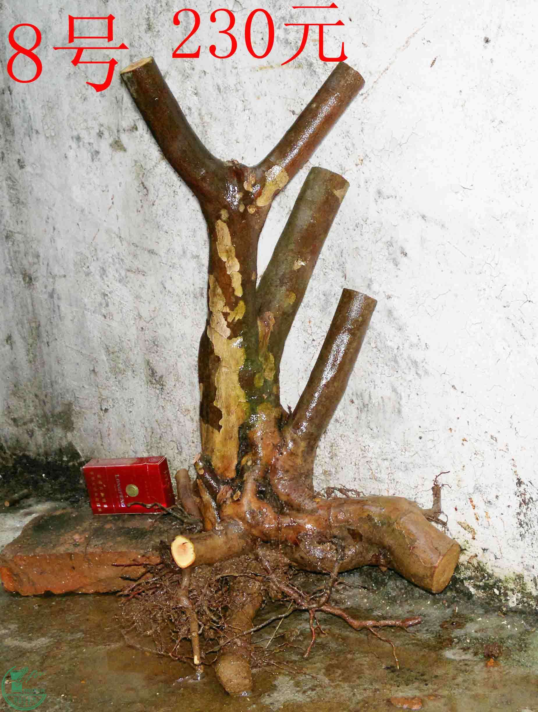 201102173363.jpg
