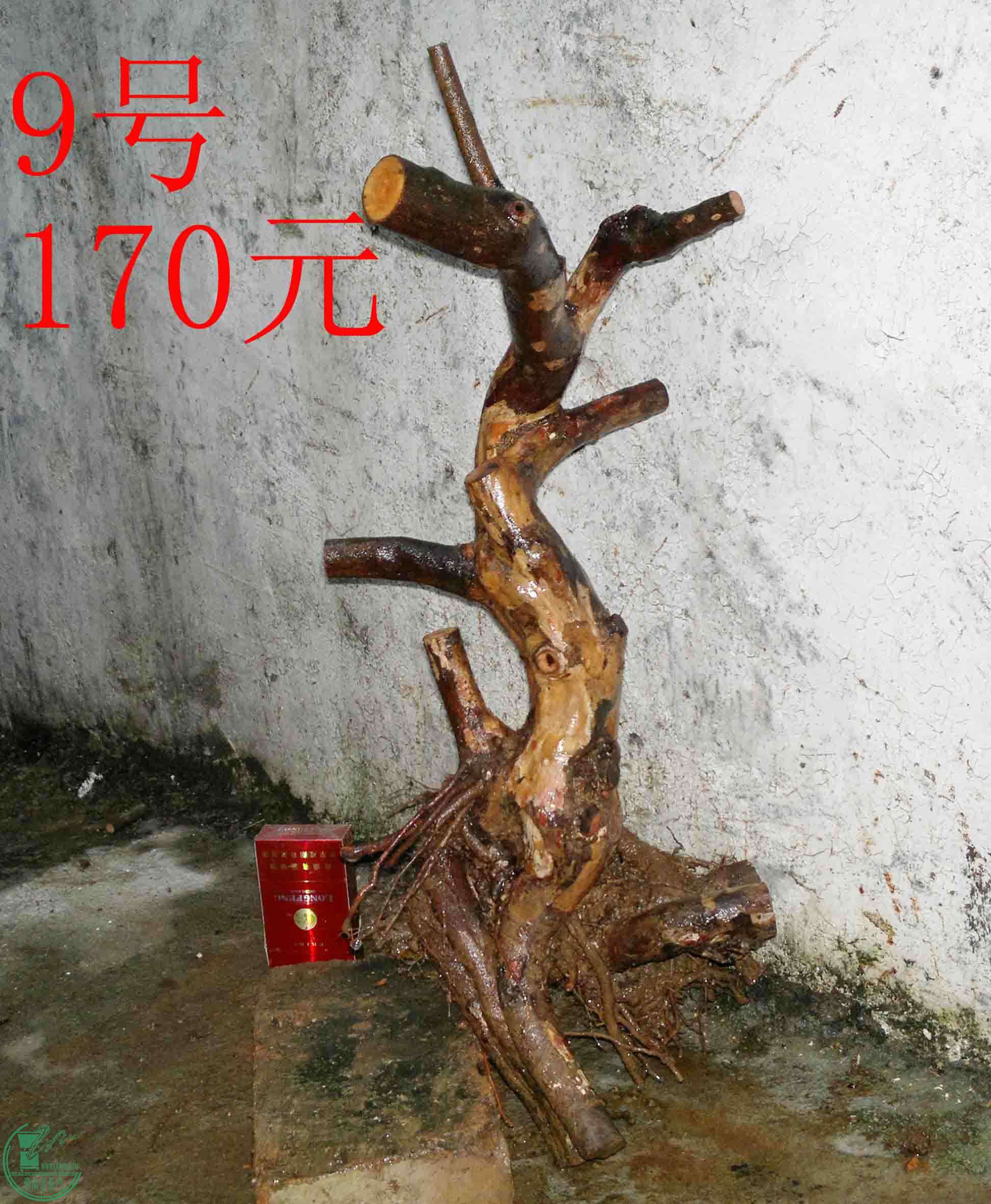 201102173382.jpg