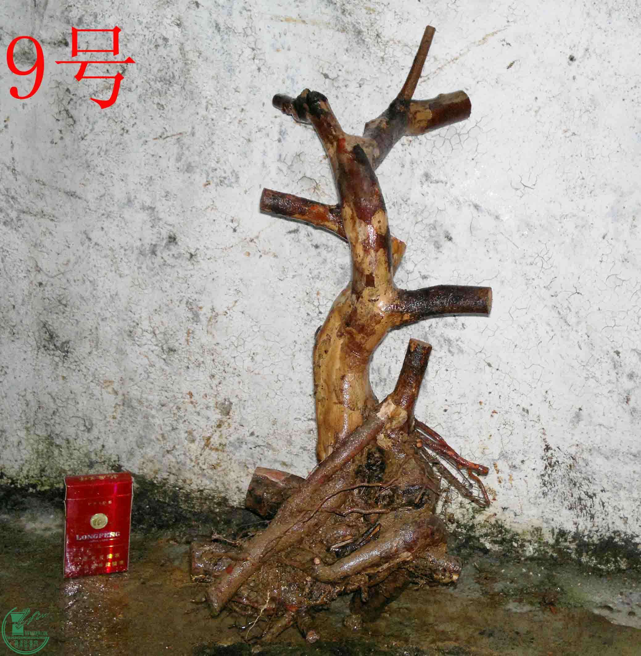 201102173384.jpg