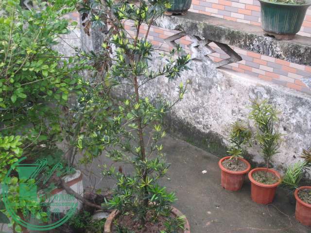 IMG_9271.JPG